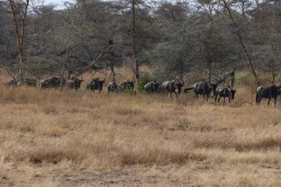 DSC_3414 (Large).JPG